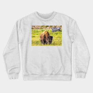 Bison at Yellowstone Crewneck Sweatshirt